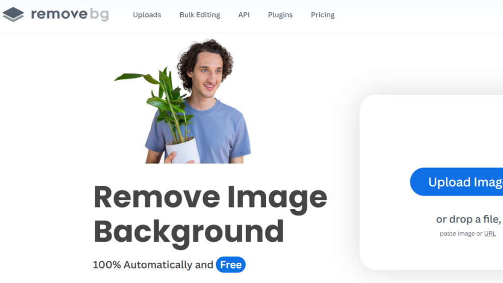 Remove.bg, Best Free Background Remover