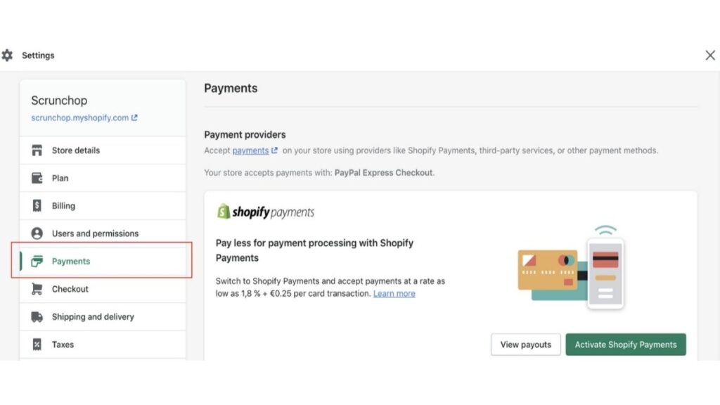 payments, Build a Website on Shopify